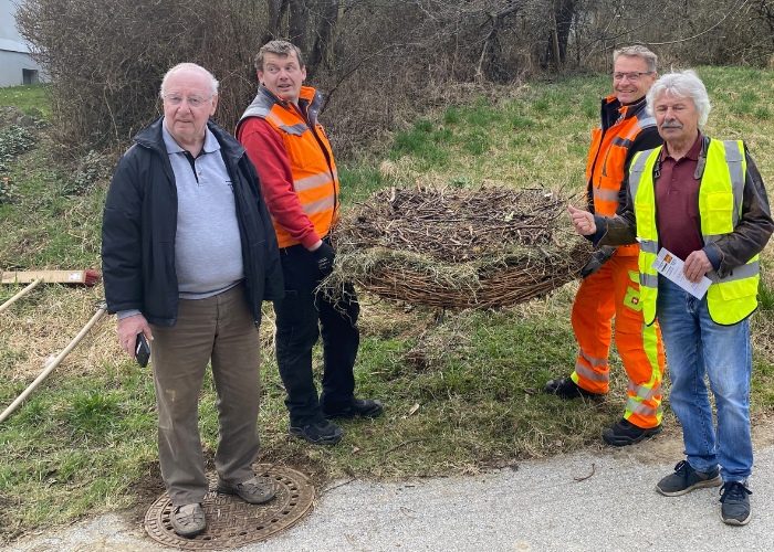 Storchenverein-Horstreinigung Rohr bei Hartberg 06032024