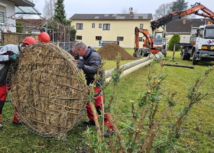 Storchenverein_Ersatzhorst Köflach 12032024