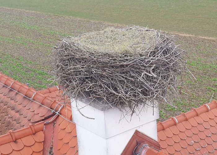 Storchenverein_Horstreinigung beim Weingut Frauwallner